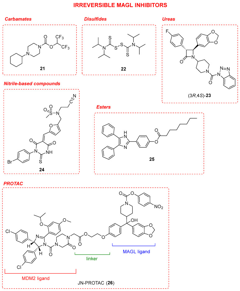 Irreversible MAGL inhibitors 21–25 and anti-MAGL PROTAC 26.