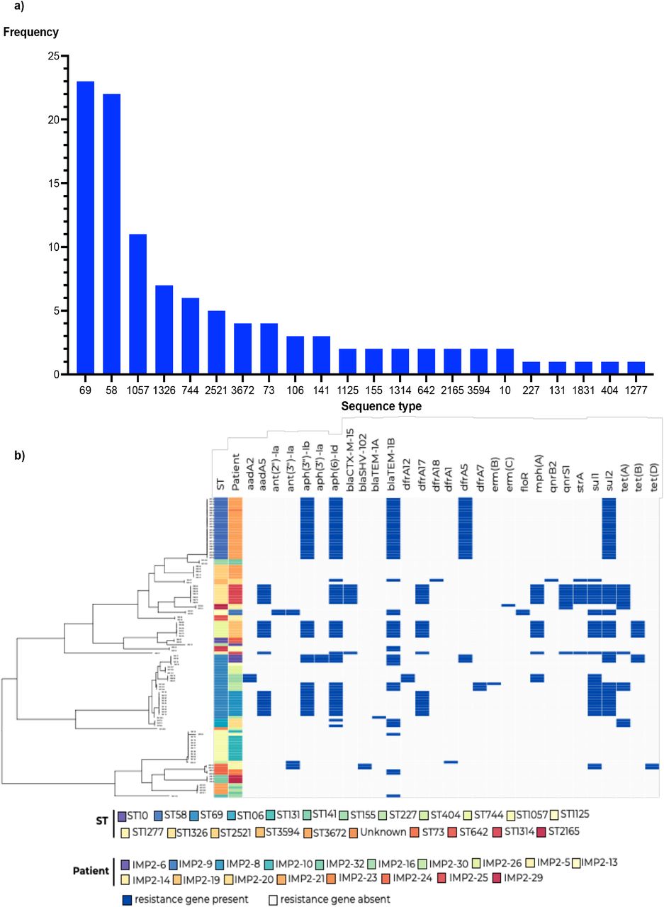 a) ST breakdown for all E. coli isolates (n=106) and b) the resistance gene profile for all colonising E. coli across all patients (n=21). Presence (navy) and absence (grey) of resistance genes are displayed alongside E. coli ST and patient number.