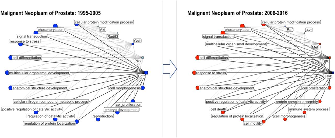 Network graphs showing the connectivity of kinases and GO biological process annotations annotated to the disease “malignant neoplasm of prostate” for the time periods 1995-2005 and 2006-2016. Circles correspond to GO biological process annotations; squares correspond to protein classes; only the top 5 target classes and top 15 GO terms are shown (with respect to percentage of total bioactivities); the size of the circle/square as well as the thickness of the connecting lines is correlated to the percentage of bioactivities associated with this GO annotation/protein class; the color code is reflecting the number of available drug-efficacy target annotations (light blue: 0; blue: 1-5; navy: 6-10; red >10). Akt: AGC protein kinase AKT family; Egfr: Tyrosine protein kinase EGFR family; Gsk: CMGC protein kinase GSK family; Jakb: Tyrosine protein kinase JakB family; Met: Tyrosine protein kinase Met family; Pikk: Atypical protein kinase PIKK family; Rad53: CAMK protein kinase RAD53 family; Raf: TKL protein kinase RAF family.