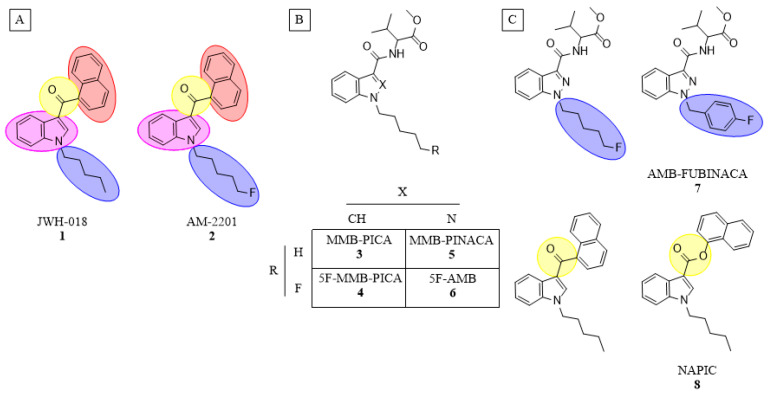 Relevant SCRA species for this study. (A) General SCRA structure containing a head (red), linker (yellow), core (pink) and tail (blue) subregion. (B) Valine-like head SCRAs detailing minor changes within an SCRA class. (C) Other common structural variations in tail and core subregions.