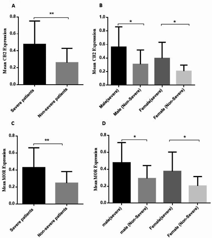 CB2 receptor and MOR expression pattern in patientsRelative expression of Cannabinoid receptor 2 (CB2 receptor) and MOR (μ-opioid receptor) was evaluated in patients with different disease severity using specific CB2 and MOR primers by real-time PCR and normalized to the level of β-actin, as a housekeeping gene. Severe patient had acute clinical manifestations of the disease and high virus concentration in the nasopharyngeal specimen (CT value of gene expression below 20) and were hospitalized; while, non-severe patients had mild respiratory symptoms and low virus concentration in the nasopharyngeal specimen (CT value of gene expression greater than 30) and were not assessed for hospitalization. (A): An elevated level of CB2 receptor was detected in severe patients; (B): The CB2 receptor expression level increased in male and female patients with severe infection versus their opposite groups. (C): The mRNA level of MOR enhanced significantly in patients with severe infection; (D): MOR gene expression enhanced in male and female patients with severe SARS-CoV-2 (Severe acute respiratory syndrome coronavirus 2) infection versus their non-severe counterparts. Statistical significance was determined by P-values (two-tailed) and showed by asterisks on bars (*= P < 0.05, **= P < 0.01)