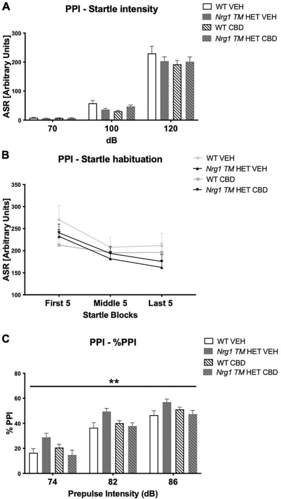 (A–C) Acoustic startle response and prepulse inhibition (PPI) after adolescent CBD treatment: (A) average startle [ASR], (B) average first and last five startle responses (startle habituation), and (C) percentage PPI (% PPI) across a 74, 82, and 86 dB prepulse intensities, expressed as mean ± SEM for wild type-like (WT) and neuregulin 1 transmembrane domain heterozygous (Nrg1 TM HET) mice treated with adolescent vehicle (VEH) or cannabidiol (CBD). Main effects of ‘genotype’ indicated by ** p < 0.01.
