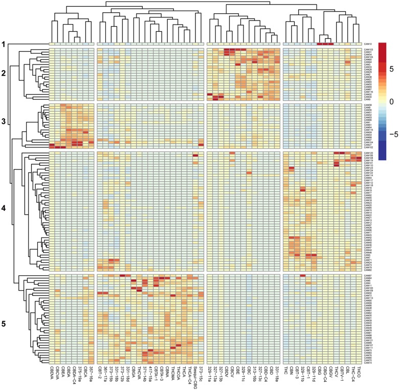 Heat map of unsupervised hierarchical clustering of the cannabinoid profile of 124 Cannabis extracts.The matrix of the ESI-LC/MS phytocannabinoid analysis Z-scores representing the set of associations was scaled by column to range from -8 to 8. Negative values (dark blue) indicate that the extract contained very low levels of the phytocannabinoid, and positive values (red) indicate that this extract was composed of high levels of the phytocannabinoid. Dendrograms indicating the clustering relationships are shown to the left and above the heat map. The 124 extracts segregate into five major clusters comprised of phytocannabinoids that associate with: (1) larger amounts of CBG-type; (2) larger amounts of CBD-type.; (3) larger amounts of CBDA-type; (4) larger amounts of Δ9-THC-type; (5) larger amounts of Δ9-THCA-type.