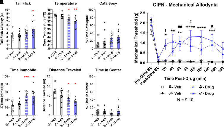 Cannabinol is cannabimimetic and relieves neuropathic pain. All data are shown as the mean ± S.E.M. Female (open symbols) or male (closed symbols) were given CBN (blue triangle) or vehicle (black circle) (100mg/kg, IP). (A) Naïve female and male mice were injected with CBN or vehicle prior to undergoing the cannabimimetic behavior tetrad as outlined in Methods. The data were analyzed via one-way ANOVA with Tukey’s post hoc test; *P < 0.05, **P < 0.01, ***P < 0.001 versus same-sex vehicle group. N = 10 mice/group. (B) Female (open symbols and filled line) and male (closed symbols and dashed line) mice had CIPN induced as outlined in Methods. N = 9–10 mice/group. Significant differences were determined via two-way ANOVA with Tukey’s post hoc test; comparisons for female mice treated with CBN or vehicle are indicated by * while comparisons for male mice are indicated by #. Comparisons between male and female CBN-treated groups are noted by !. The number of symbols corresponds to the same P value range. *P < 0.05, **P < 0.01, ***P < 0.001, ****P < 0.0001. BL, baseline.