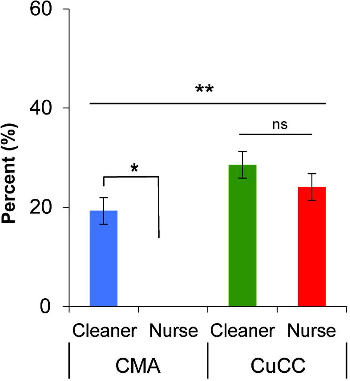 Practice of using separate color-coded bins for healthcare waste (HCW) management among cleaners and nurses at CMA and CuCC. Percentages indicate respondents reporting the use of separate color-coded bins for HCW segregation. Statistical significance was determined using the chi-square test: P < 0.05 for comparisons between cleaners and nurses within the same location (*), and between CMA and CuCC within the same worker category (**). “ns” indicates no statistically significant difference.