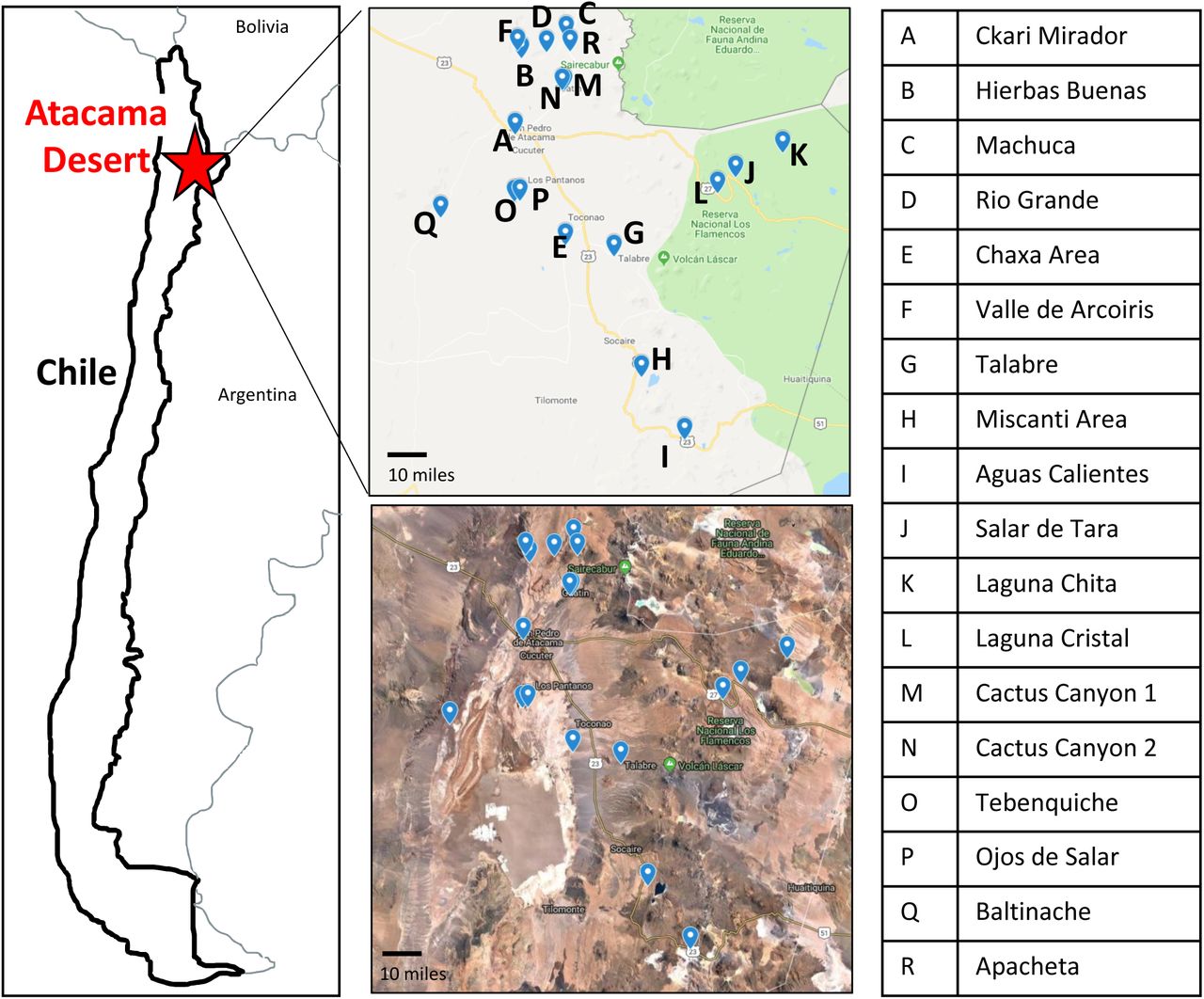 Map of the 18 sampling locations across the Atacama DesertSampling sites have clear geographical distinction as seen by Google Maps imaging. Letter key identifies the name of sampling location labeled on the maps.