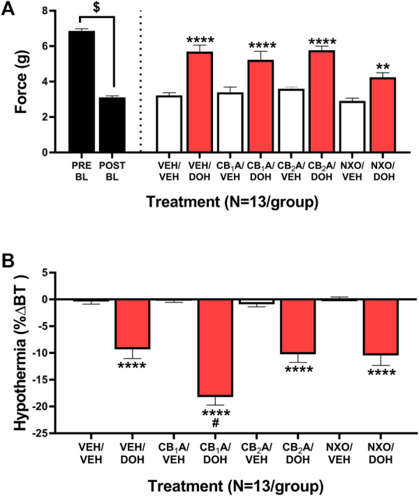 Cannabinoid and opioid mediation of the anti-allodynic and hypothermic effects of decursinol in mice with cisplatin-induced neuropathy. Mediation of the anti-allodynic (A) and hypothermic (B) effects of 50 mg/kg decursinol by CB1, CB2, and/or opioid receptors in male mice (N = 13). Mice were assessed via the von Frey for the amount of force (in grams) required to elicit a paw withdrawal response prior to cisplatin treatment (Pre BL) and following cisplatin-evoked neuropathy (Post BL). Mice were also assessed for the ability of the CB1 inverse agonist Rimonabant (CB1A), the CB2 inverse agonist SR144528 (CB2A), and the nonselective opioid antagonist naloxone (NXO) to mediate the anti-allodynic effects of 50 mg/kg of decursinol by administering either 10 mg/kg of CB1A or CB2A, 10 mg/kg of NXO, or vehicle (VEH) 30 min prior to treatment with either decursinol (DOH) or vehicle (VEH). For each mouse, testing occurred in triplicate per mouse and was averaged into a single value per mouse per day of testing. Error bars represents the mean ± SEM. Data were analyzed using a repeated measures one-way ANOVA with Bonferroni post-hoc tests (**p < 0.01,****p < 0.0001 compared to VEH/VEH; # p < 0.05 compared to VEH/DOH; $ p < 0.0001 Pre versus Post BL).