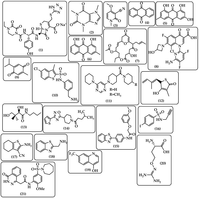 Chemical structure of cefoperazone sodium (1), caffeine (2), ricinine (3), anthraquinones (4), emodin (5), chrysophanol (6), elipyrone A (7), delafloxacin (8), thymoquinone (9), N-[3-(aminomethyl)phenyl]-5-chloro-3- methylbenzothiophene-2-sulfonamide (10), piperidinylpyrimidine derivatives (11), thiolactomycin (TLM) (12), pantetheine analog (PK940) (13), BDM31369 (14), BDM31827 (15), 4-Iodo-N-prop-2-ynylbenzenesulfonamide (BDM43266) (16), Tetrahydro-1-benzothiophene (THBTP) Analogue (17), 2-(aminomethyl)benzothiazole (18), NMR446 (19), L-canavanine (20), and N-(5-(azepan-1-ylsulfonyl)-2-methoxyphenyl)-2-(4-oxo-3,4-dihydrophthalazin-1-yl)acetamide (21).