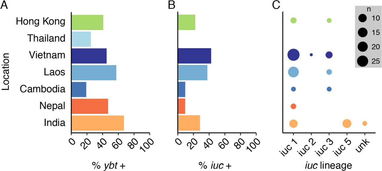 Prevalence of key virulence determinants among K. pneumoniae sensu stricto isolates.A) Proportion of genomes for which the yersiniabactin locus was detected (% ybt +) by location. B) Proportion of genomes for which the aerobactin locus was detected (% iuc +) by location. C) iuc lineages by location. Points are scaled by the number of genomes as per legend. Unk; unknown.