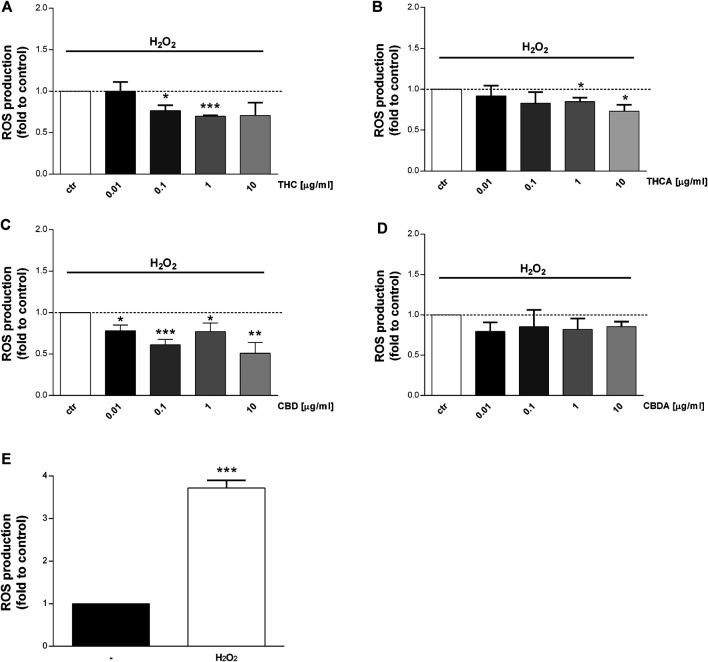 Effect of a 24 h treatment with THC (A), THCA (B) CBD (C), CBDA (D) (0.01-0.1-1-10 μg/mL), on Caco-2 ROS production after oxidative simulation with H2O2 (E). Data are expressed as mean ± SEM of fluorescence intensity (FI) of treated cells related to control. n = 4 experiments. *p < 0.05, **p < 0.01, ***p < 0.001 treatment vs. control, unpaired Student’s t-test.