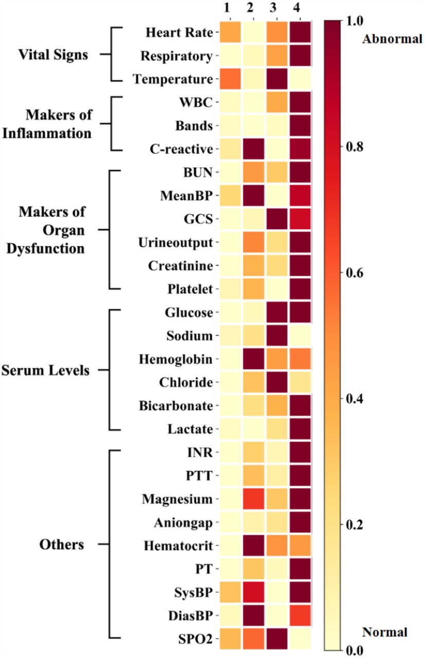 The severity heatmap of the variables across the four subphenotypes. The subphenotypes are 1: Minimal Organ Dysfunction; 2: Renal Dysfunction; 3: CNS & Respiration Dysfunction; 4: Maximum Organ Dysfunction. Deeper color means higher severity.