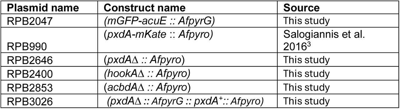 Plasmids used in this study.