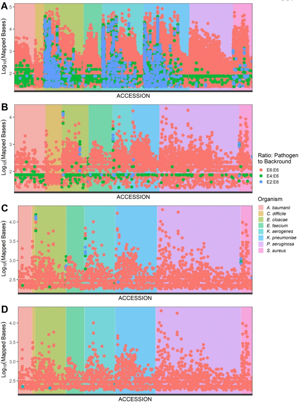 ESKAPE+C Pathogen RNA Reads Mapped to Genes.Reads were mapped from RNA titration experiments to nucleotide sequences of pathogen genes within the custom database. This figure is labeled according to (A) all mapped reads, (B) removal of shared genes, (C) application of a minimum of 180 bp mapped bases cutoff, and (D) removal of 52 accessions considered false positives, as described previously. This clearly shows the importance of considering shared gene content before attributing the origin of a gene to a specific species, as many of the low spike-in level genes (blue) in panel A disappeared in panel B. After all quality control filtering steps were completed, the genes identified were only those from the high spike-in level in panel D.