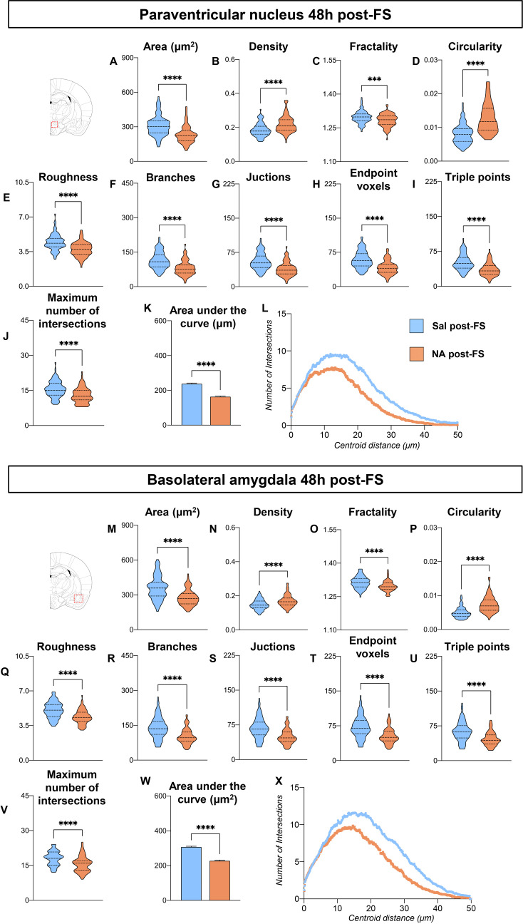 Scientific figure displaying multiple violin plots and line graphscomparing microglial morphological parameters between two groups, Sal post-FS (blue) and NApost-FS (orange), in the paraventricular nucleus and basolateral amygdala 48 hours post-FS. Each region's section includes anatomical localization diagrams, violin plots forfeatures like area, density, fractality, circularity, roughness, branches, juctions, endpointvoxels, and triple points, bar plots for maximum intersections and area under the curve,and a line graph showing number of intersections versus centroid distance. Statisticallysignificant differences are indicated between groups for all measured parameters.
