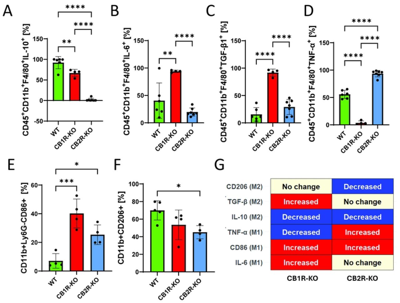 Cytokine expression in splenic macrophages in CB1R and CB2R knockout mice post-infection with Salmonella Typhimurium.Flow cytometry was used to quantify cytokine production in splenic macrophages (CD45+CD11b+F4/80+) from wild-type (WT), CB1 receptor knockout (CB1R-KO), and CB2 receptor knockout (CB2R-KO) C57BL/6 mice, 4 days post-infection with Salmonella Typhimurium. The following markers were analyzed: (A) IL-10, (B) IL-6, (C) TGF-β, (D) CD86, (E) TNF-α, and (F) CD206. Each bar graph represents the mean percentage ± SEM, with individual data points for each mouse. Statistical analyses were performed using one-way ANOVA to compare cytokine and marker expression levels between WT, CB1R-KO, and CB2R-KO groups. Statistical significance is denoted by asterisks: *p < 0.05, **p < 0.01, ***p < 0.001, and ****p < 0.0001. (G) Graphical summary of M1/M2 macrophage polarization markers in CB1R-KO and CB2R-KO splenic macrophages post-Salmonella infection, highlighting the receptor-specific shifts in immune phenotypes.