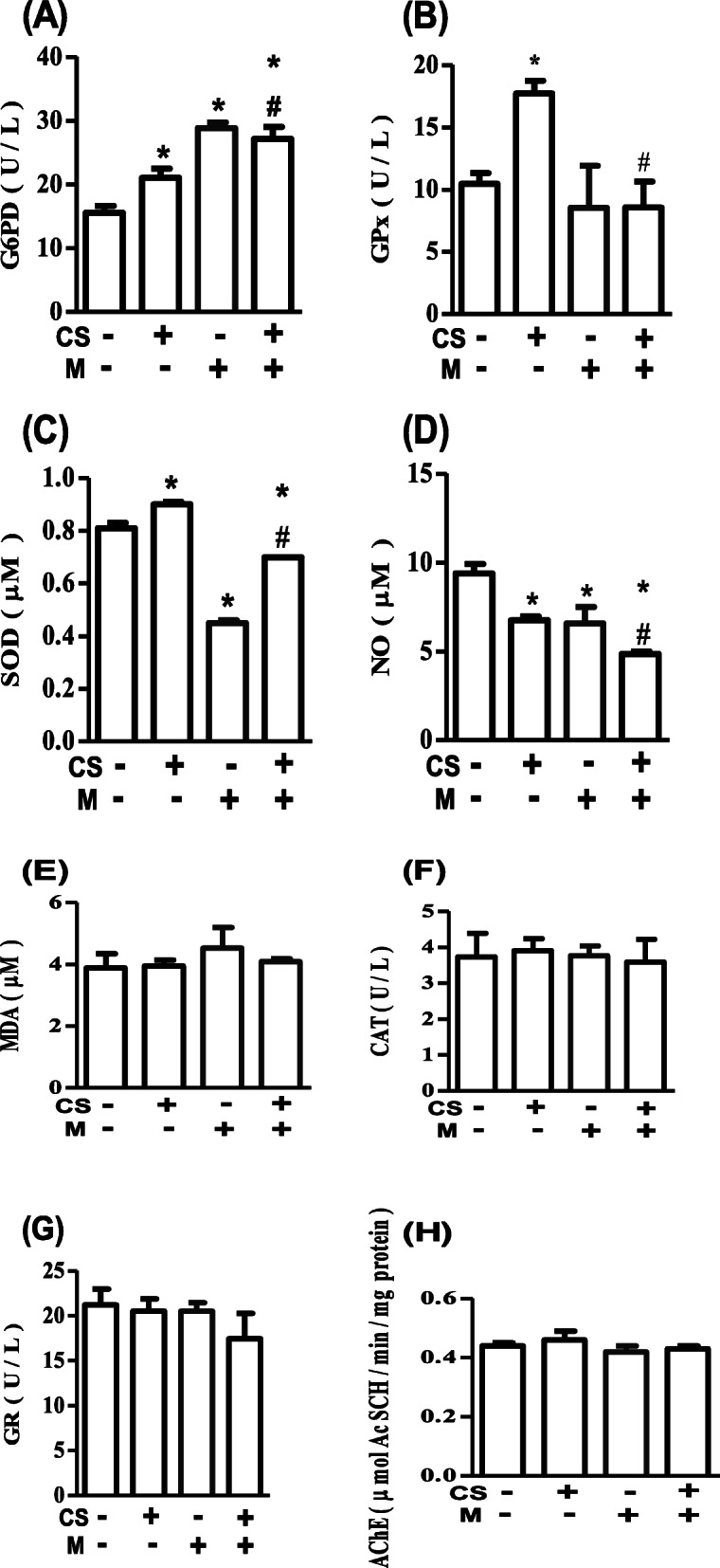 M augments CS-induced increase in G6PD and decrease in NO but abolishes the CS-induced increase in GPx and SOD. A–H represent G6PD, glucose-6-phosphate dehydrogenase; GPx, glutathione peroxidase; SOD, superoxide dismutase; NO, nitric oxide; MDA, malondialdehyde; CAT, catalase; GR, glutathione reductase; and AChE, acetylcholinesterase respectively. *p < 0.05 vs. control; #p < 0.05 vs. CS; CS, ethanol extract of Cannabis sativa; M, melatonin; -, not administered; +, administered