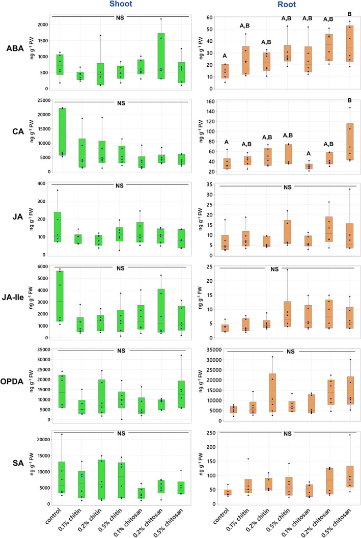 Phytohormone levels of abscisic acid (ABA), cinnamic acid (CA), jasmonic acid (JA), JA‐isoleucine (JA‐Ile), 12‐oxo‐phytodienoic acid (OPDA) and salicylic acid (SA) measured from shoot and root tissues of control, chitin and chitosan treatments within six biological replicates. Letters (A–B) refer to statistically significant difference (p < .05) using one‐way ANOVA, followed by Tukey's post hoc analysis. NS represents non‐significant differences tested across all sample groups.