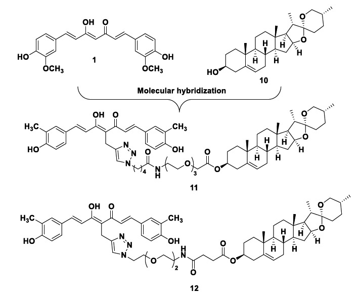 Multifunctional bioactive curcumin-diosgenin hybrid compounds 11 and 12 with remarkable neuroprotective properties.