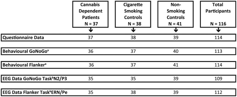 Valid number of participants for each part of the study.aMissing scores or more than 50% errors.bMissing, too noisy or too few trials.
