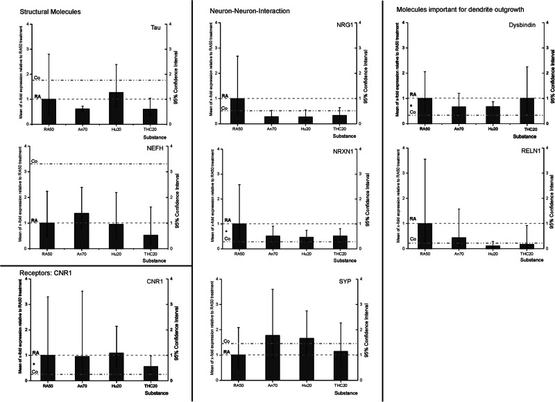 RT-qPCR RNA-expression data: mean x-fold expression (95% confidence interval) of MAPT (Tau), CNR1, NRG1, NRXN1, SYP, DTNBP, and RELN under application of retinoic acid 50 µM (RA50) either combined with anandamide (An70), HU210 (HU210 20) or tetrahydrocannabinol (THC20) in relation to expression in solely RA50-treated SH-SY5Y cells (=1).For better subsumption of results, the broken line traces the RA50 level throughout the figure and the dotted line represents the expression level of the respective target in undifferentiated control cells. Significant differences between controls and RA50-treated cells, as published before (Jahn et al.9), are indicated by * on the left between the mentioned lines. There were no significant differences in expression between differentiated cells and differentiated cells treated with Cannabinoids. However, in trend, cannabinoid treatment led to an approximation of expression towards the expression level in untreated/undifferentiated control cells in the investigated targets besides MAPT.