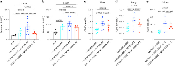 CBD decreases IL-12-related toxicity of armoured CAR-T cells.Male C57BL6/J mice received subcutaneous injection of RM9-hSTEAP1 (5 × 105) on day 0. CAR-T cells were intravenously administered on day 4. a, Serum ALT and b, ALP concentrations on day 12 (each dot represents a mouse, mean ± s.e.m.). c–e, Immunohistochemistry quantification of CD3+ T cell infiltration in liver (c), lung (d) and kidney (e) on day 14 (each dot represents a mouse, mean ± s.e.m.). Statistical analyses were performed using Kruskal–Wallis test followed by Dunn’s multiple comparisons (non-parametric data) (a,e) or one-way ANOVA with Tukey’s test (b–d). P values are shown in figures.Source data