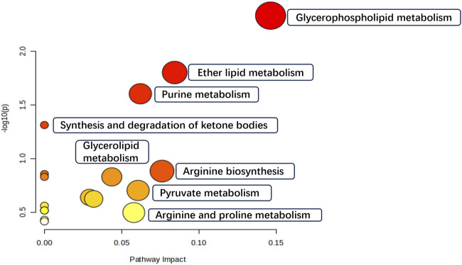 Metabolic differentials pathway enrichment analysis.