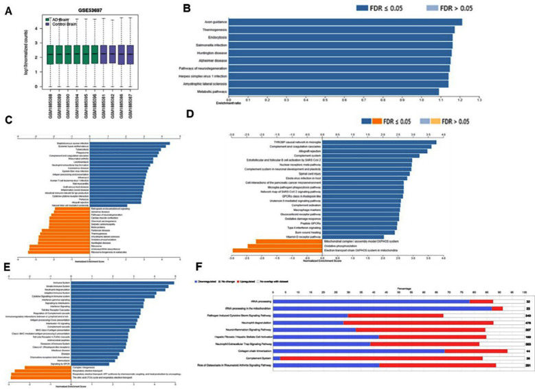 (A) RNA-seq data from the Gene Expression Omnibus (GEO) (accession no: GSE53697) were filtered, and only four controls and six severe AD samples were selected for further downstream analysis using next-generation knowledge discovery (NGKD) methods. (B) Overrepresentation analysis (ORA) of differentially expressed genes (DEGs) obtained from GEO2R analysis with a P-value ≤ 0.05, with Benjamini-Hochberg (BH) multiple testing correction based on the Kyoto Encyclopedia of Genes and Genomes (KEGG) pathway database. (C) Differentially regulated KEGG pathways, (D) Reactome pathways, (E) WikiPathways, and (F) canonical pathways based on Ingenuity Pathway Analysis (IPA) software core analysis in patients with severe AD.