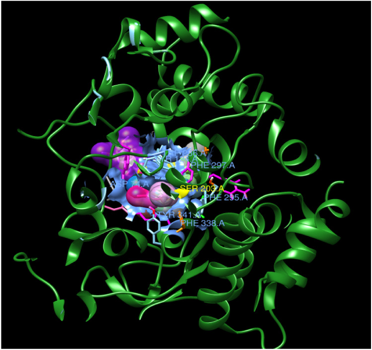 Complex of all ligands with receptor acetylcholinesterase. The receptor is shown in green and all the ligands are depicted in different colors on the same location with the receptor.