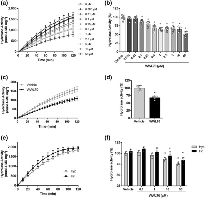 ABHD6 activity assay based on 4‐MUH hydrolysis in cells endogenously expressing ABHD6 and in brain tissue homogenates. (a) ABHD6 activity inhibition by WWL70 (0.005–50 μM) in GT1‐7 mouse hypothalamic neuronal cell line; (b) at t = 120 min (n = 6). One‐way ANOVA followed by Bonferroni's post hoc correction was used for statistical analysis. (c) ABHD6 activity inhibition by WWL70 (1 μM) in cortical neurons of WT mice; (d) at t = 120 min (related to the WT vehicle) (n = 5). Student's t test was used for statistical analysis. (e) 4‐MUH hydrolysis in hypothalamus (Hyp) and hippocampus (Hc) of WT mice (n = 5). (f) ABHD6 activity inhibition by WWL70 (0.1–50 μM) in hypothalamus and hippocampus homogenates at t = 120 min (n = 5). Data shown are means ± SD. *P < 0.05, significantly different from vehicle; two‐way ANOVA followed by Bonferroni's post hoc correction