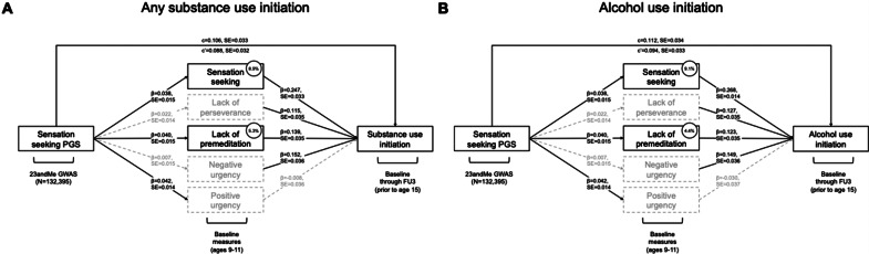Sensation seeking and lack of premeditation indirectly link sensation seeking PGS to (a) any substance use and (b) alcohol use initiation. Mediational models including all measured UPPS-P domains in parallel. Standardized regression coefficients (β) and standard errors (SEs) are reported along each path. Gray dashed lines indicate individual paths and/or mediation effects with 95% CIs overlapping with 0 (i.e. nonsignificant). Numbers in circles represent the proportion of the association between SS-PGS and the substance use initiation variable that is accounted for by the measured UPPS-P domain (i.e. sensation seeking and lack of premeditation accounted for 8.9 and 5.3% of association between SS-PGS and any substance use initiation, respectively, and 9.1 and 4.4% of the association with alcohol use initiation, respectively).