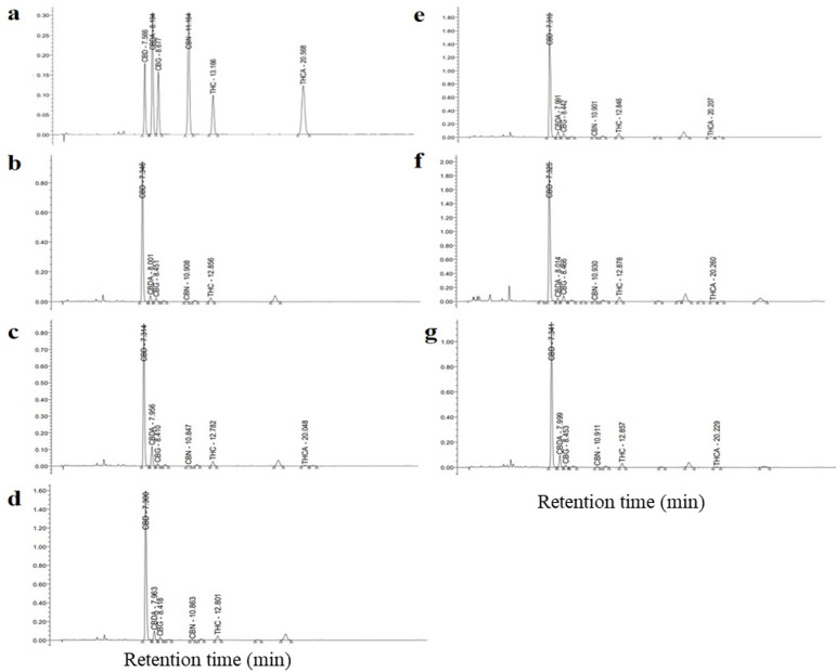 Identification of cannabinoids treated with endophytic fungi and AMF using high-performance liquid chromatography. HPLC chromatograms are indicated as follows: a); Cannabinoids compound standard, b); without AMF and endophytic fungi, c); without AMF, with synthetic fertilizer, d); crude extract of R. prolifer, e); crude extract of R. aggregatus, f); crude extract of L. theobromae and g, crude extract of M. phaseolina. Cannabinoids are abbreviated as follows: Cannabidiolic (CBD), Tetrahydrocannabinolic (THC), Cannabinol (CBN), Cannabidiolic acid (CBDA), Tetrahydrocannabinolic acid (THCA) and Cannabigerolic (CBG). Each chromatogram is a representative of triplicate analysis.