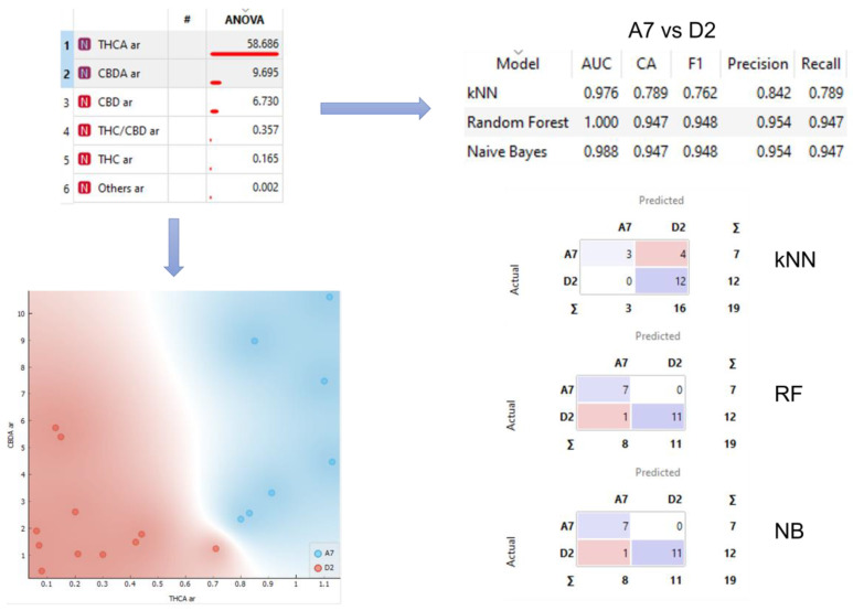 Analysis workflow. Sample separation for selected variables and confusion matrices for kNN, RF, and NB models.
