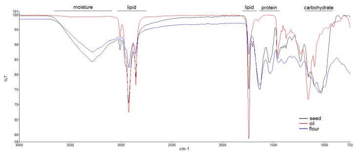 Comparative ATR-FTIR spectroscopy analysis of the three edible hemp products (Fedora cv): Seed, oil, and flour. The spectral regions specific to macronutrients (lipids, proteins, and carbohydrates) are indicated in the figure. Protein amines also contribute to the bands in the 3500–3000 cm−1 spectral region, indicated as “moisture”.