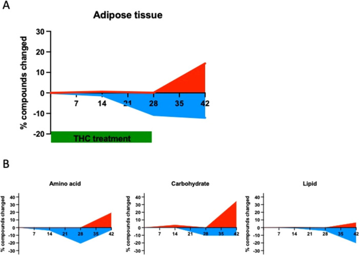 (A) Percentage of significantly up- and downregulated metabolites in the adipose tissue during and after THC treatment. (B) Percentage of significantly changed amino acids, carbohydrates, and lipids metabolites in the adipose tissue during and after THC treatment. The identification of compounds with significantly changed levels in panels (A) and (B) was done using two-way ANOVA followed by Welch’s two-sample t tests.