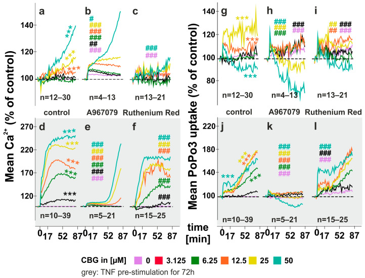 Intracellular calcium levels and PoPo3 uptake of RASF under the influence of CBG Influence of CBG on intracellular calcium levels (a–f) and PoPo3 uptake (g–l). RASF was simulated (d–f;j–l) or not (a–c;g–i) with TNF for 72 h, and assays were conducted with extracellular calcium by using Hanks balanced salt solution (HBSS). The TRPA1 inhibitor A967079 or pan TRP inhibitor ruthenium red were added 30 min prior to the addition of CBG. *** p < 0.001 for differences between concentrations of CBG. ANOVA with Dunnett’s T3 post hoc test was used for comparisons. # p < 0.05, ## p < 0.01, ### p < 0.001 for comparisons of CBG versus CBG/antagonist treatment at each concentration. ANOVA with the Bonferroni post hoc test was used for comparisons. Number of patients included: (a,g) n = 12 and n = 30 (no CBG); (b,h) n = 4 and n = 13 (no CBG) (c,i) n = 13 and n = 21 (no CBG) (d,j) n = 10 (50 µM), n = 12 (3.125–25 µM) and n = 39 (no CBG); (e,k) n = 5 and n = 21 (no CBG) (f,l) n = 15 and n = 25 (no CBG).