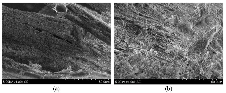 The morphology of polypropylene and hemp fibers; (a) surface of polypropylene fiber; (b) surface of hemp fiber.