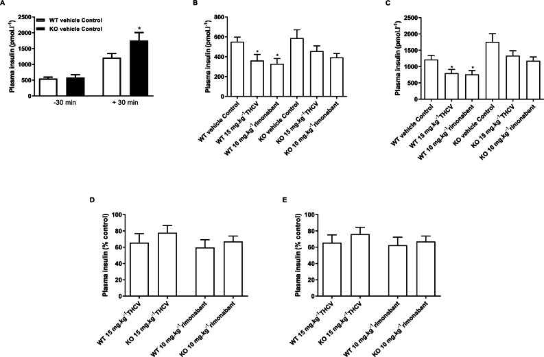 Plasma insulin concentrations during a glucose tolerance in GPR55 knockout and wild-type mice fed on a high fat diet and treated with vehicle, THCV or rimonabant.Plasma insulin concentrations in the oral glucose tolerance test on day 21. Knockout mice had significantly higher by two-way ANOVA plasma insulin levels 30 min following an oral glucose load (A). Plasma insulin levels for THCV- and rimonabant-treated are shown 30 min before (B, absolute values; and D, relative to control group) and after (C, absolute values; and E, relative to control group) a glucose load. Two-way ANOVA followed by the FDR test showed that both THCV- and rimonabant-dosed mice had lower plasma insulin 30 before and 30 after glucose. However, the relative effects of THCV and rimonabant were not significantly different between wild-type and knockout mice. *P < 0.05.