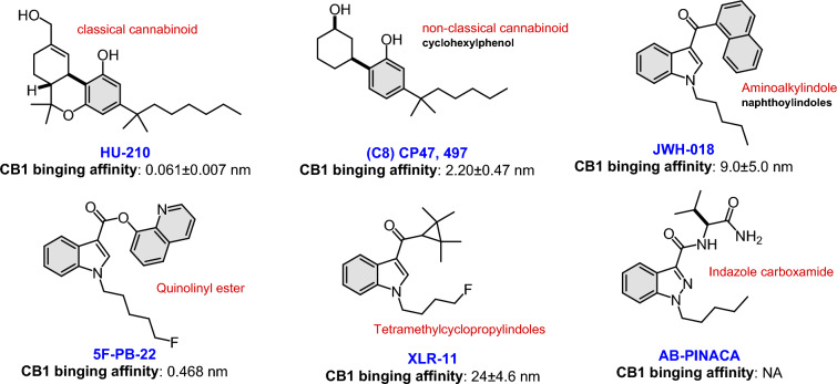 Structure and binding affinity of popular synthetic cannabinoids [5, 9]