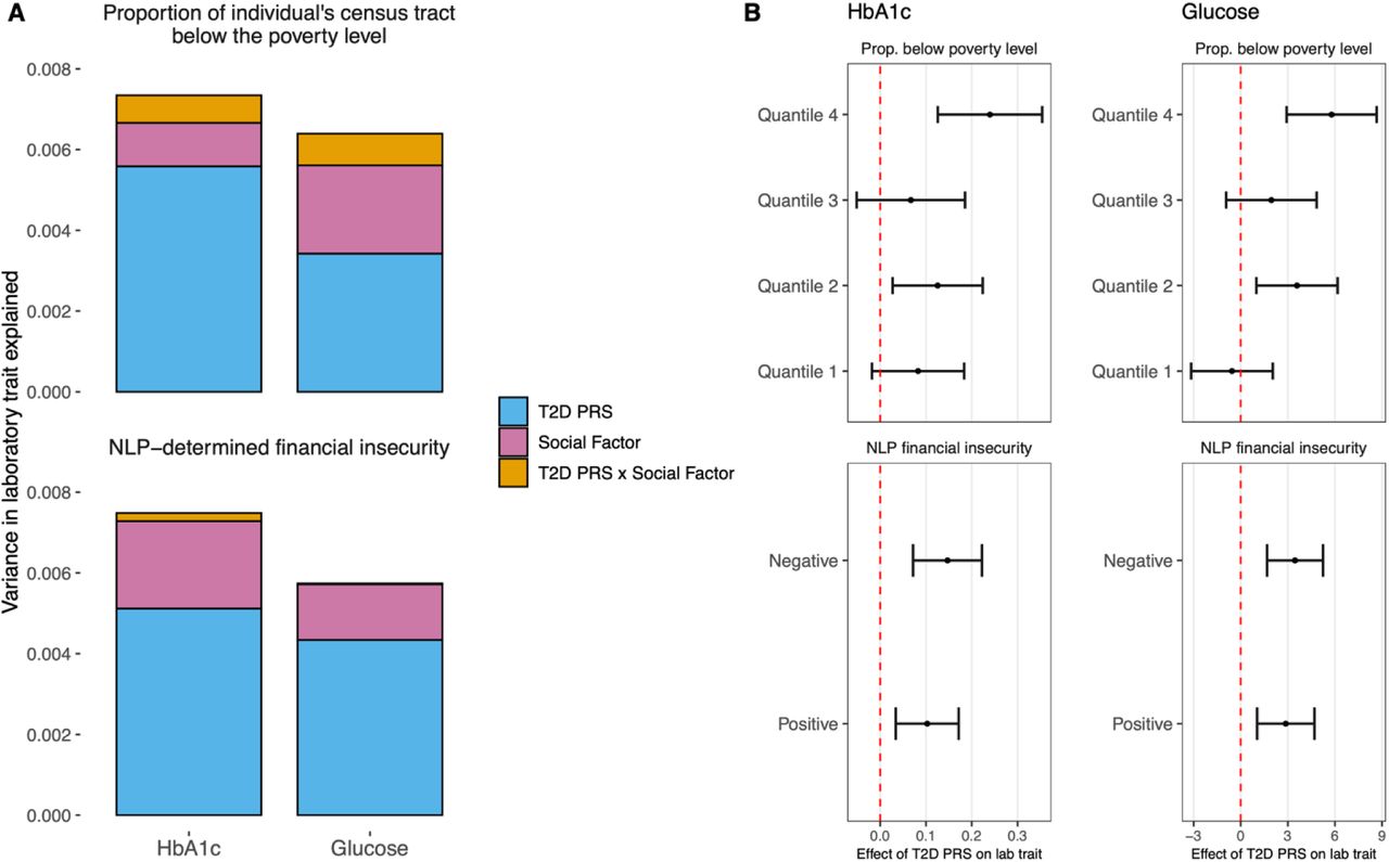 Evaluation of the joint influences of type 2 diabetes polygenic risk scores (T2D PRS) and financial insecurity indices on glycemic control in T2D.A) Estimated variance in laboratory trait explained (R2) by T2D PRS (blue), social factors (pink), and their interaction (goldenrod) in three separate linear regressions adjusting for clinical and genetic covariates: T2D PRS alone; T2D PRS and social factors combined, and the full model with a term for the interaction between T2D PRS and social factors (T2D PRS x social factors). For visualization purposes, the variance explained due to clinical and genetic covariates is not shown. B) Estimated effect of PRS on each lab trait (95% confidence intervals), within strata of financial insecurity indices. Abbreviations: T2D, Type 2 Diabetes; PRS, polygenic risk score; HbA1c, hemoglobin A1c; NLP, natural language processing.