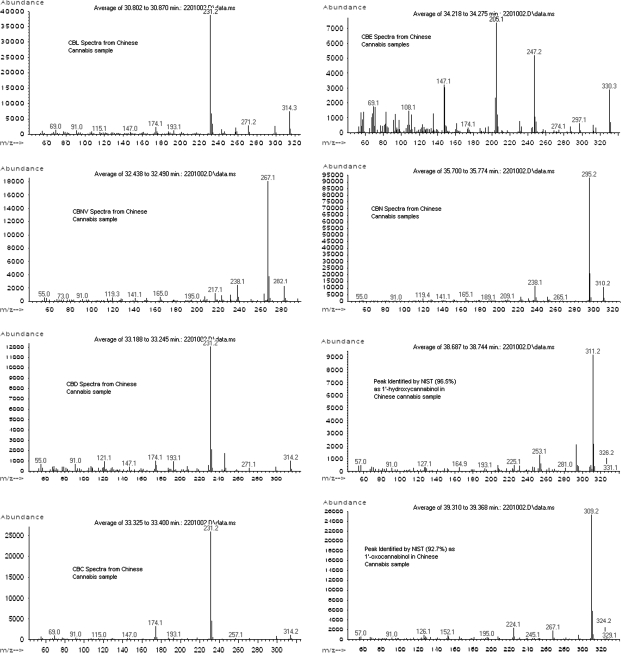Mass spectra of ancient cannabis. Subsections demonstrate the phytocannabinoids cannabinol (CBN), cannabidiol (CBD), cannabicyclol (CBL), cannabinolivarin (CBNV), cannabichromene (CBC), cannabielsoin (CBE), 1′-oxcannabinol, and 1′-hydroxycannabinol.