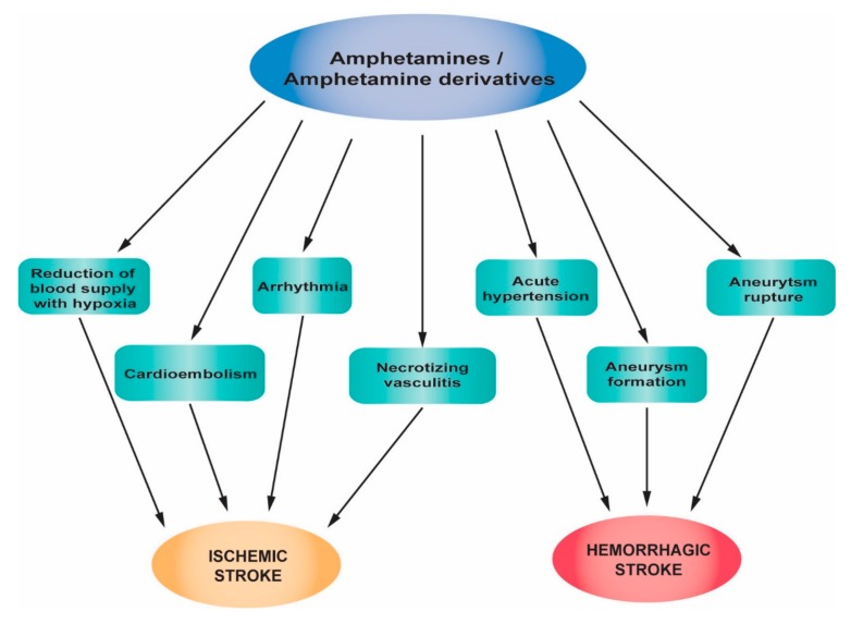 Pathophysiological mechanisms of stroke associated with amphetamines and amphetamine derivative abuse.