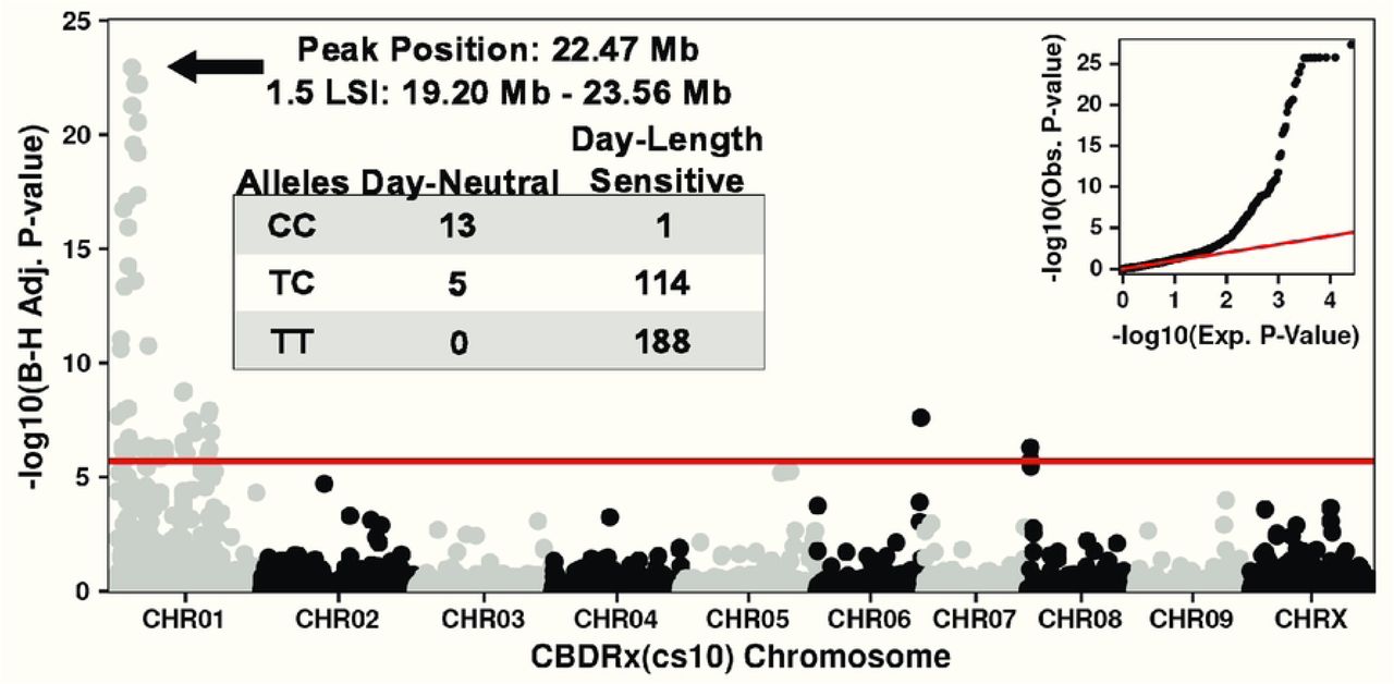 GWAS Manhattan and QQ plots mapping day-neutral flowering in the ‘Carolina Dream’ and ‘BaOx’ breeding population. The red line shows the Bonferroni threshold of - log10(0.05/24918) = 5.70. LSI: LOD Support Interval.