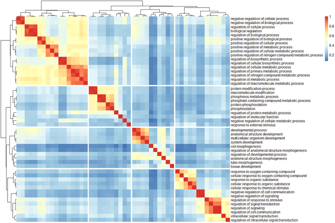 Heatmap of Similarity Matrix of Top 50 GO:BP Terms From Functional Enrichment Analysis. Functional enrichment analysis was carried out using g:Profiler (version e109_eg56_p17_1d3191d) with a g:SCS threshold of 0.05. The Jaccard similarity coefficient was calculated for all pairwise comparisons of GO:BP terms based on the genes within each term. The resulting similarity matrix of the top 50 GO:BP terms, ranked by adjusted P-value, were visualized using the pheatmap R package. Ward’s clustering algorithm was used for hierarchical clustering.