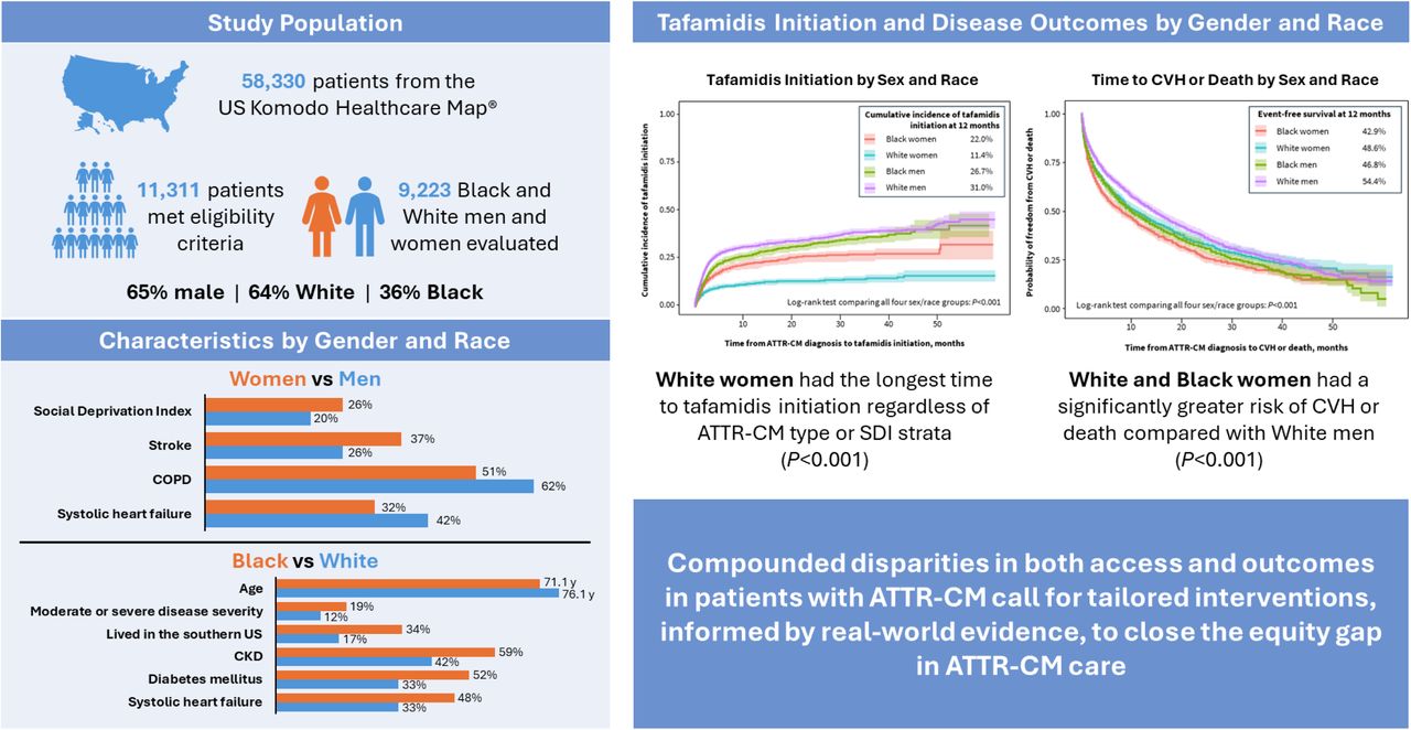 Disparities in Tafamidis Initiation and OutcomesIn this retrospective cohort analysis of 9,223 White and Black patients with ATTR-CM in the US, White women had the lowest cumulative incidence of tafamidis initiation within 12 months of diagnosis, followed by Black women, Black men, and White men. Black women had the lowest event-free survival at 12 months and shortest median time to CVH or death, followed by Black men, White women, and White men. Strategies to close the equity gap in ATTR-CM care are needed. ATTR-CM = transthyretin amyloid cardiomyopathy; CKD = chronic kidney disease; CVH = cardiovascular-related hospitalization; COPD = chronic obstructive pulmonary disease; SDI = Social Deprivation Index.