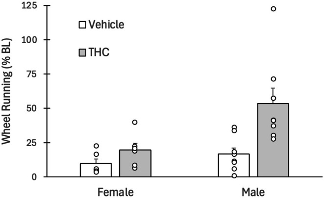 Tolerance to the THC‐induced decrease in wheel running. Administration of THC caused a large decrease in dark phase wheel running in vehicle (rats receiving THC for the first). THC also caused a decrease in dark phase running in rats previously treated with THC twice daily for 7 days but this decrease was blunted by the prior THC injections as would be expected with the development of tolerance. Tolerance, measured as a return to baseline running levels, was more pronounced in male compared to female rats.
