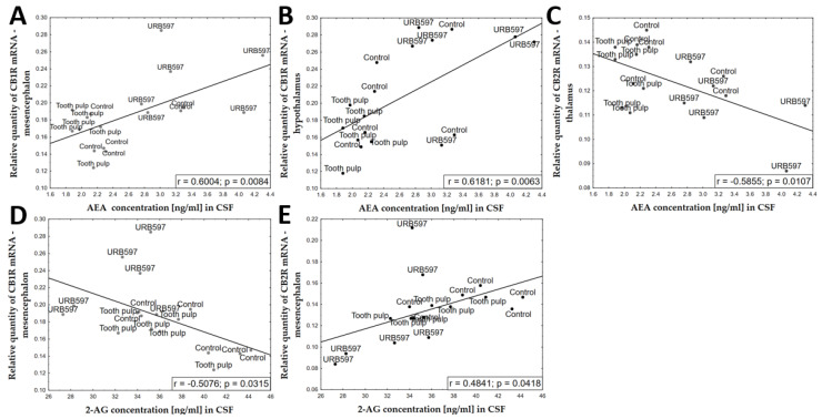 Statistically significant correlations between the concentrations of endocannabinoids in the CSF and cannabinoid receptor expression in the brain structures of rats: (A) correlation between AEA and CB1R expression in the mesencephalon, (B) correlation between AEA and CB1R expression in the hypothalamus, (C) correlation between AEA and CB2R expression in the thalamus, (D) correlation between 2-AG and CB2R expression in the mesencephalon, and (E) correlation between 2-AG and CB2R expression in the mesencephalon.