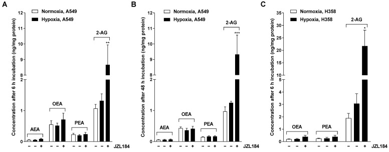 Effect of JZL184 on the levels of endocannabinoids AEA and 2-AG and endocannabinoid-like substances OEA and PEA in hypoxic A549 (A,B) and H358 cells (C). A549 cells were incubated for 6 h (A) or 48 h (B) and H358 cells were incubated for 6 h (C) with vehicle or JZL184 (0.1 µM) under hypoxic conditions. To define the hypoxia effect, vehicle-treated normoxic cancer cells were included in the experiment. Data represent mean concentrations ± SEM of n = 4 (A,B) or n = 3 (C). * p ≤ 0.05, ** p ≤ 0.01, *** p ≤ 0.001 vs. vehicle-treated hypoxic cancer cells; Student’s unpaired two-tailed t-test.