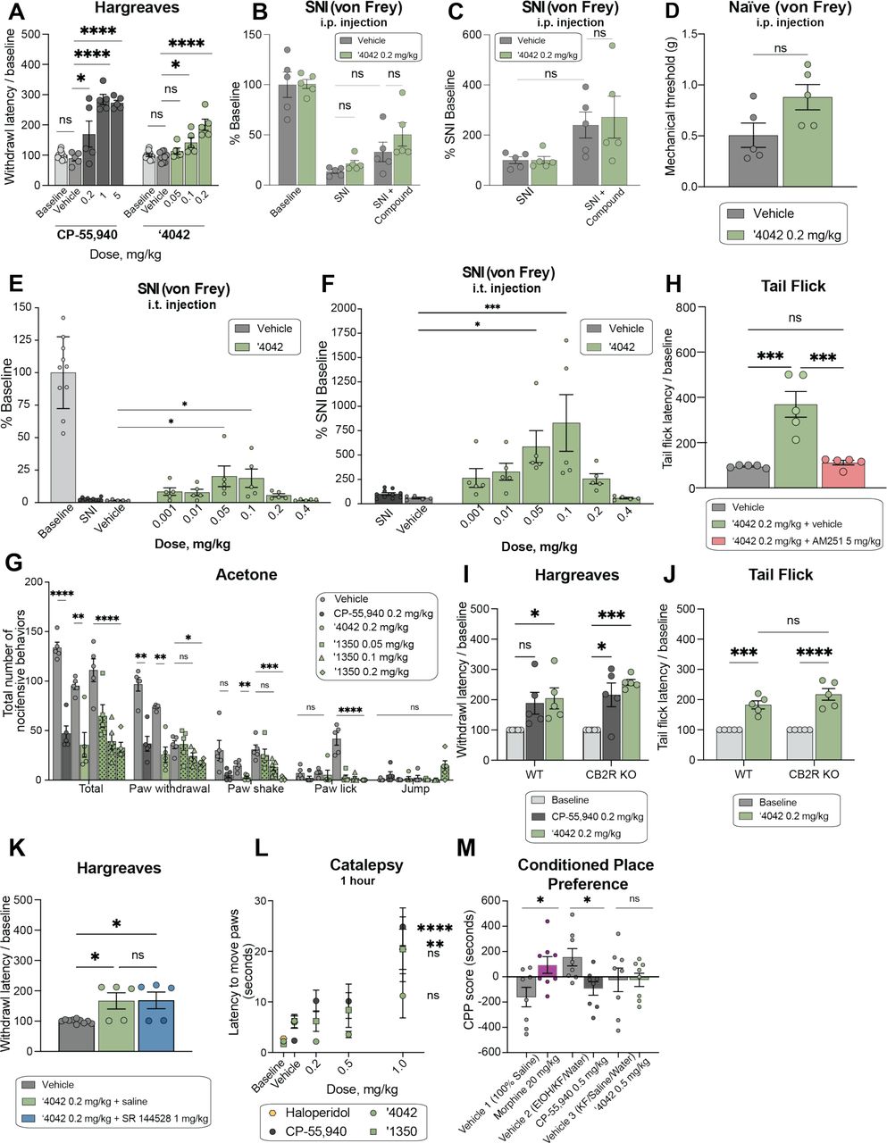Additional analgesic and side-effect profiles of ‘4042 and ‘1350. A. Dose-response activity in the Hargreaves assay for ‘4042 (n = 5; one-way ANOVA, F(3, 21) = 16.3, P < 0.0001) and CP-55,940 (n = 5; one-way ANOVA, F(4, 25) = 26.2, P < 0.0001). Asterisks define individual group differences to respective vehicle control using Dunnett’s multiple comparisons post-hoc test correction. B. Effect of ‘4042 (i.p.) in neuropathic pain model in mice after SNI with mechanical allodynia (n = 5; two-way ANOVA; SNI x drug treatment interaction: F(2, 24) = 0.5, P > 0.05; SNI: F(2, 24) = 51.8, P < 0.0001; drug treatment: F(1, 24) = 1.6, P > 0.05; asterisks define individual group differences to vehicle control after Tukey’s multiple comparisons post-hoc test correction). Data presented are normalized to pre-SNI baseline measurements. C. Effect of ‘4042 (i.p.) in neuropathic pain model in mice after SNI with mechanical allodynia (n = 5; two-way ANOVA; SNI x drug treatment interaction: F(1, 16) = 0.1, P > 0.05; SNI: F(1, 16) = 9.6, P = 0.007; drug treatment: F(1, 16) = 0.1, P > 0.05; asterisks define individual group differences to vehicle control after Tukey’s multiple comparisons post-hoc test correction). Data presented are normalized to post-SNI baseline measurements. D. Effect of ‘4042 (i.p.) in naïve (non-SNI) mice in the mechanical assay (all n = 5; two-tailed unpaired t-test, t(8) = 2.17, P > 0.05). E. Effect of ‘4042 (i.t.) in neuropathic pain model in mice after SNI with mechanical allodynia (n = 5; one-way ANOVA, F(6, 28) = 4.2, P = 0.004; asterisks define individual group differences to vehicle control after Dunnett’s multiple comparisons post-hoc test correction). Data presented are normalized to pre-SNI baseline measurements. F. Effect of ‘4042 (i.t.) in neuropathic pain model in mice after SNI with mechanical allodynia (n = 5; one-way ANOVA, F(7, 32) = 3.8, P = 0.004; asterisks define individual group differences to vehicle control after Dunnett’s multiple comparisons post-hoc test correction). Data presented are normalized to post-SNI baseline measurements. G. Chemical hyperalgesia test after spared nerve injury (all n = 5; ‘4042 vs. vehicle: multiple two-tailed unpaired t-tests, total: t(8) = 4.6, P = 0.007; paw withdrawal: t(8) = 6.2, P = 0.001; paw shake: t(8) = 4.5, P = 0.007; paw lick and jump: P > 0.05; CP-55,940 vs. vehicle: multiple two-tailed unpaired t-tests, total: t(8) = 9.3, P < 0.0001; paw withdrawal: t(8) = 5.9, P = 0.002; paw shake, paw lick, and jump: P > 0.05, asterisks define differences to vehicle control after the Holm-Šídák multiple comparisons post-hoc test correction; ‘1350 vs. vehicle: two-way ANOVA; behavior x dose interaction: F(12, 80) = 8.2, P < 0.0001; behavior: F(4, 80) = 69.6, P < 0. 0001; dose: F(3, 80) = 34.2, P < 0.0001; asterisks define individual group differences to vehicle control after Dunnett’s multiple comparisons post-hoc test correction). H. Tail flick latency after co-treatment with the selective CB1 antagonist AM251 (all n = 5; one-way ANOVA, F(2, 17) = 29.9, P < 0.0001; asterisks define individual group differences to baseline control after Tukey’s multiple comparisons post-hoc test correction. I. Comparison of the effect of ‘4042 and CP-55,940 in wildtype (WT) versus CB2R knockout (KO) mice in the Hargreaves assay (all n = 5; two-way ANOVA; genotype x drug treatment interaction: F(2, 24) = 0.5, P > 0.05; genotype: F(1, 24) = 1.6, P > 0.05; drug treatment: F(2, 24) = 13.8, P = 0.0001; asterisks define individual group differences to baseline after Tukey’s multiple comparisons post-hoc test correction). J. Comparison of the effect of ‘4042 in wildtype (WT) versus CB2R knockout (KO) mice in the Tail Flick assay (all n = 5; two-way ANOVA; genotype x drug treatment interaction: F(1, 16) = 2.2, P > 0.05; genotype: F(1, 16) = 2.2, P > 0.05; drug treatment: F(1, 16) = 72.3, P < 0.0001; asterisks define individual group differences to baseline after Šídák’s multiple comparisons post-hoc test correction). K. Withdrawal latency in the Hargreaves assay after co-treatment with the selective CB2R antagonist SR 144528 (1 mg/kg) (all n = 5; one-way ANOVA, F(2, 17) = 6.6, P = 0.008; asterisks define individual group differences to vehicle control after Tukey’s multiple comparisons post-hoc test correction). L. Mesh grip test of catalepsy at 1 hour post-dose. Comparison of CP-55,940 (n = 5-10; one-way ANOVA, F(3, 26) = 10.3, P = 0.0001), haloperidol (n = 5; two-tailed unpaired t-test, t(8) = 3.5, P = 0.009), ‘4042 (n = 5; one-way ANOVA, F(3, 16) = 3.0, P > 0.05) and ‘1350 (n = 5-10; one-way ANOVA, F(3, 26) = 1.8, P > 0.05). Asterisks define differences between 1 mg/kg dose for each compound and respective vehicle control. Data at 30 min. timepoint are in Fig. 6. M. Comparison of morphine (n = 8; two-tailed unpaired t-test, t(14) = 2.51, P = 0.03) to CP-55,940 (n = 8; two-tailed unpaired t-test, t(14) = 2.9, P = 0.01) and ‘4042 (n = 8; two-tailed unpaired t-test, t(14) = 0.005, P > 0.05) in the Conditioned Place Preference (CPP) test. For all statistical tests: ns, not significant, *P < 0.05, **P < 0.01, ***P < 0.001, ****P < 0.0001. All data represent mean ± SEM of 5-10 animals.