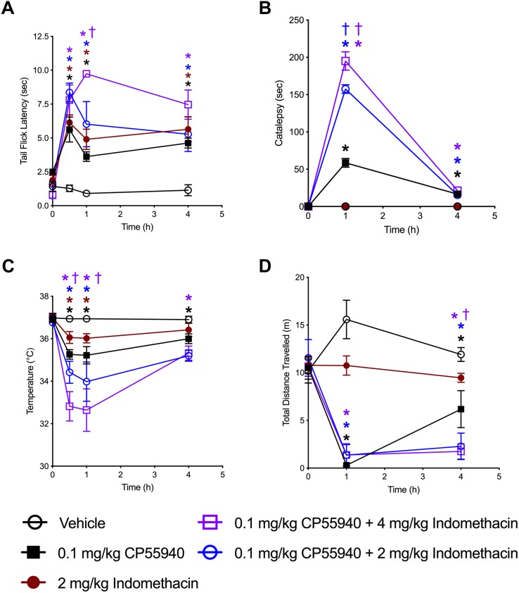 Indomethacin enhanced CP55940-dependent tetrad effects. Seven-week old, male, C57BL/6 mice were injected (i.p.) with vehicle, CP55940 (0.1 mg/kg), indomethacin (2 mg/kg), CP55940 (0.1 mg/kg) + indomethacin (2 mg/kg), or CP55940 (0.1 mg/kg) + indomethacin (4 mg/kg) and tetrad tests were completed as follows: tail flick latency at 0 (prior to treatment), 0.5, 1, and 4 h after injection (A), catalepsy at 0, 1, and 4 h after injection (B), internal body temperature at 0, 0.5, 1, and 4 h after injection (C), total distance traveled in the open field at 0, 1, and 4 h after injection (D). ∗P < 0.01 compared to vehicle within time point, †P < 0.01 compared to CP55940 alone within timepoint, as determined via two-way ANOVA followed by Bonferroni’s post hoc analysis. Data are mean ± SEM. N = 5 per treatment group.