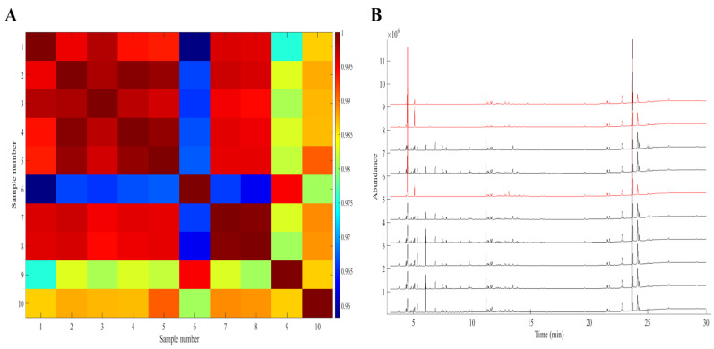 (A) GC–FID intra-correlation coefficients colour map showing three outlying samples (6, 9, and 10) in the fourth cultivation site. (B) GC–FID fingerprints of the Cannabis samples from the fourth plantation. The outlying chromatograms are plotted in red.
